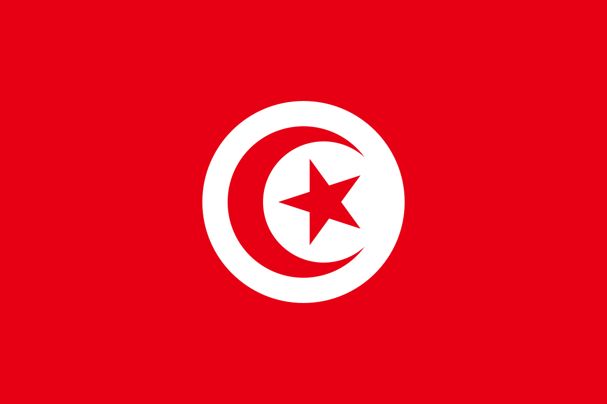 Tunisia: President must scrap decree-law undermining free expression and the press