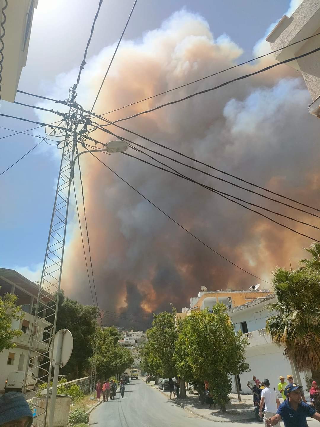 La série d’incendies récurrents chaque été se poursuit : une politique qui marginalise le secteur forestier et ne prévient pas les catastrophes !