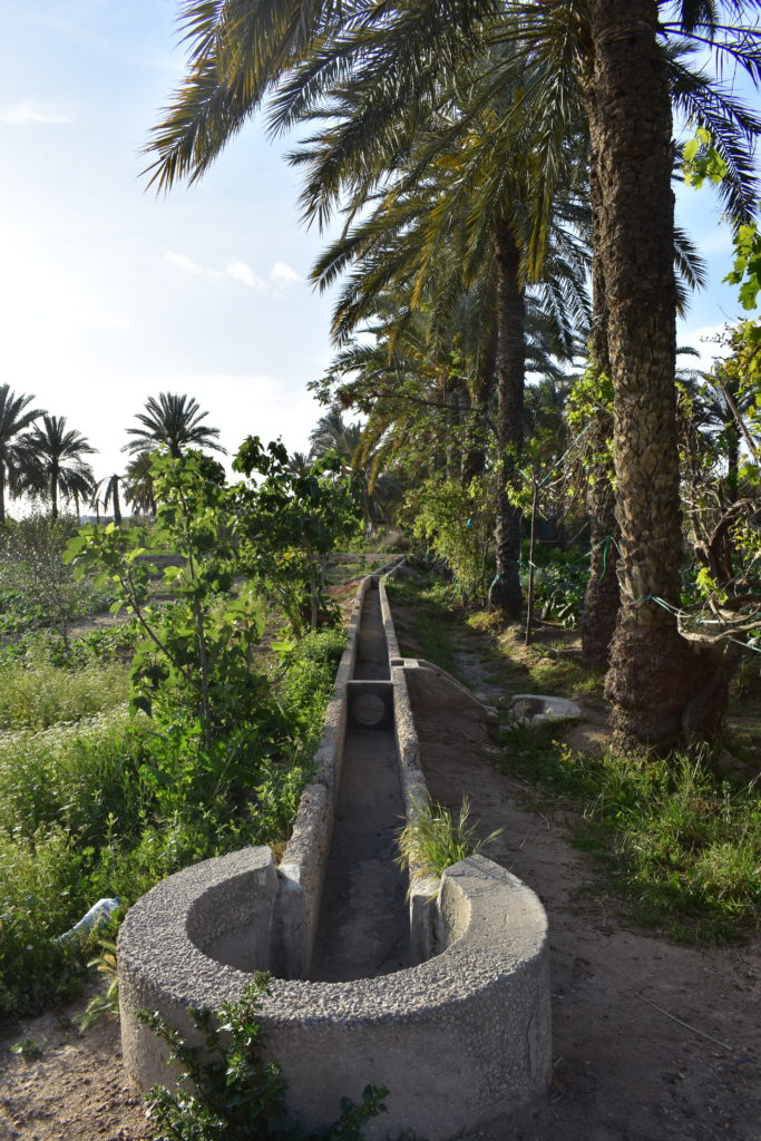 Seguias en béton dans l'oasis de Menzel, Gabès (Photo : Pola Anquetil-Barba