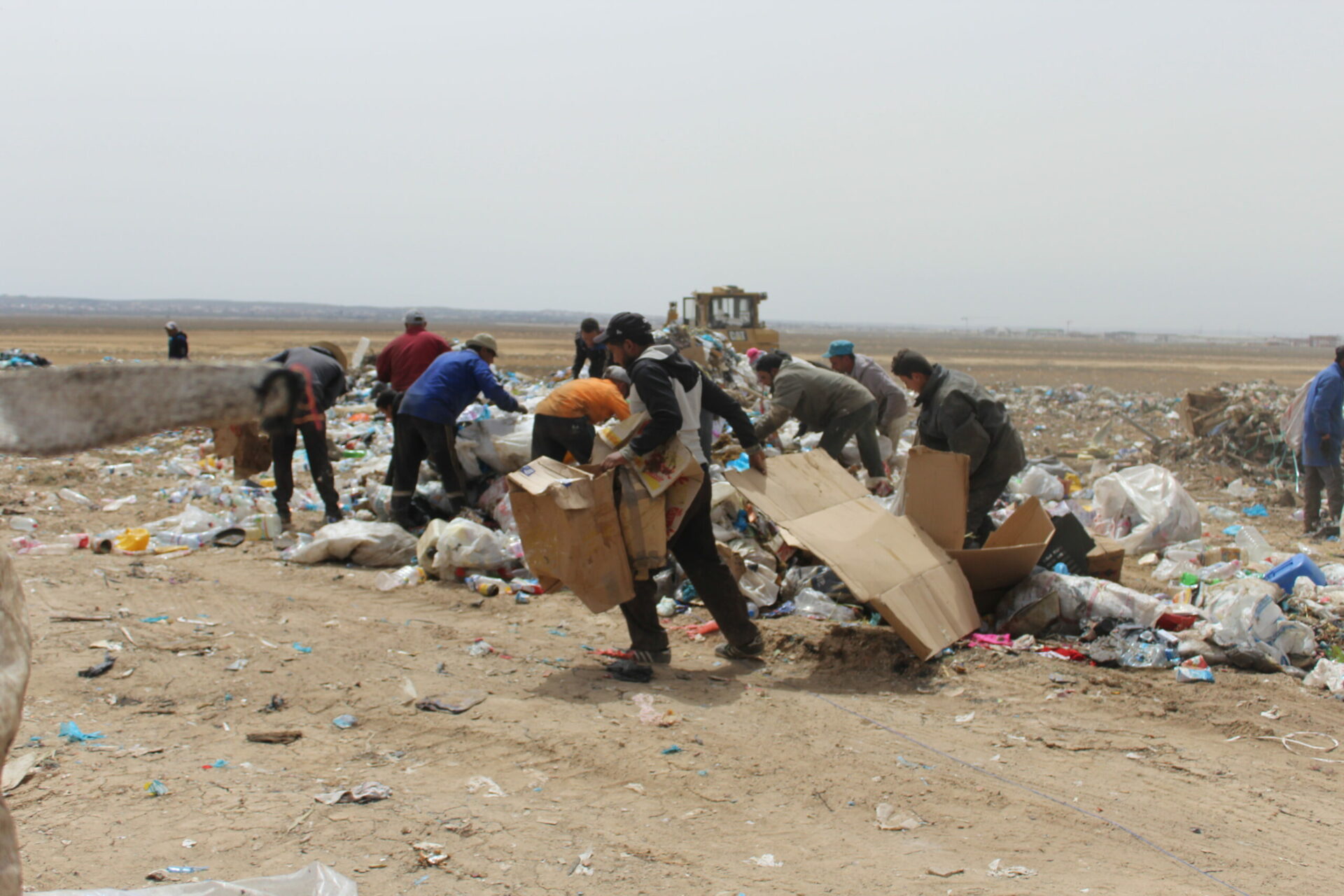 (العربية) معاناة الولايات الساحلية: التلوث بالنفايات الصلبة