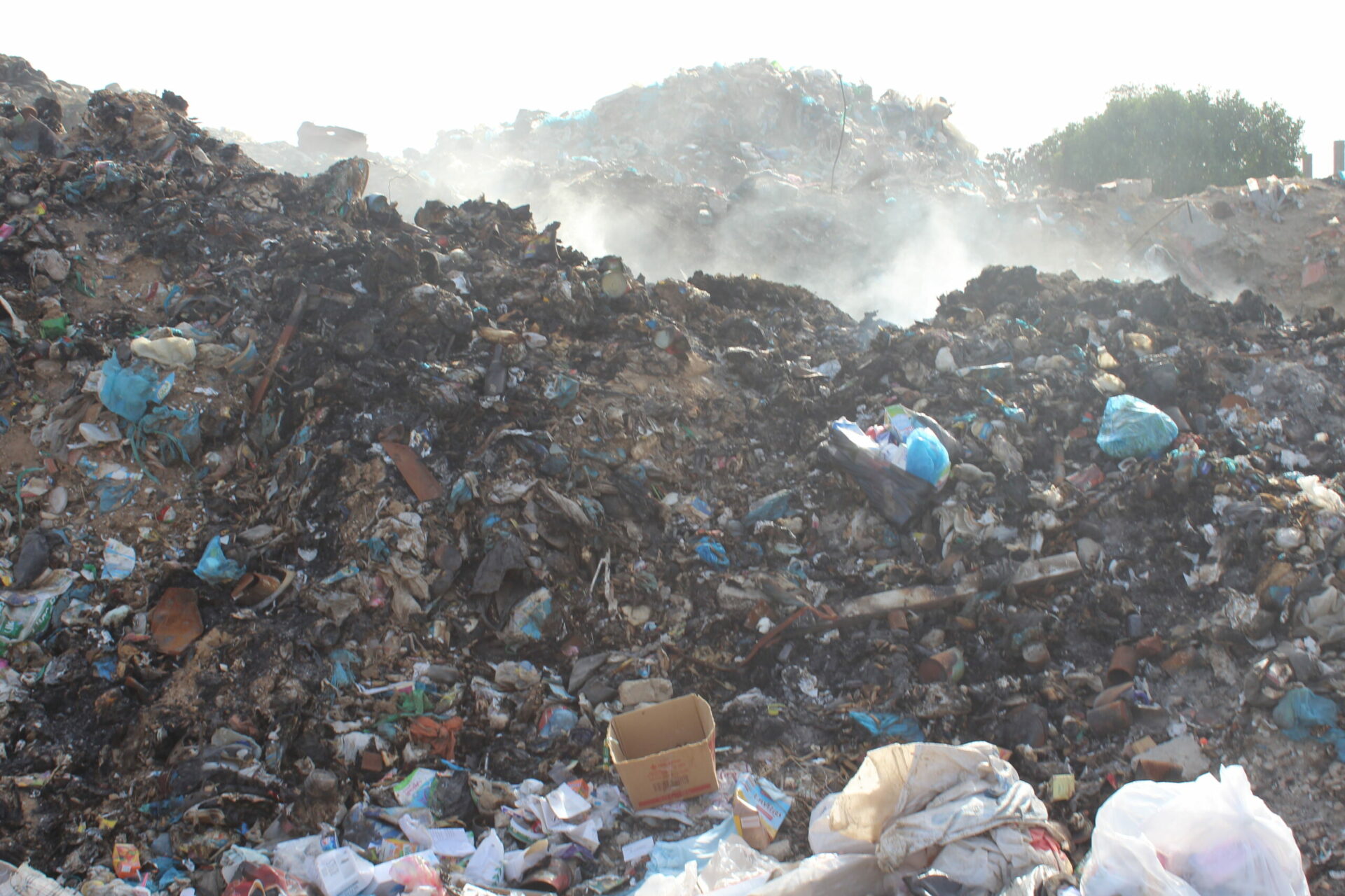 Journée Mondiale de l’Environnement : En Tunisie, un droit négligé et criminalisé