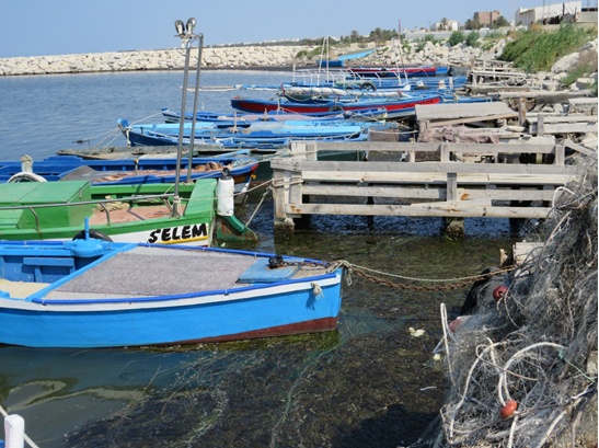 Programme d’échange de jeunes pour la responsabilité sociale des entreprises par le Forum Tunisien pour les Droits Économiques et Sociaux section Monastir