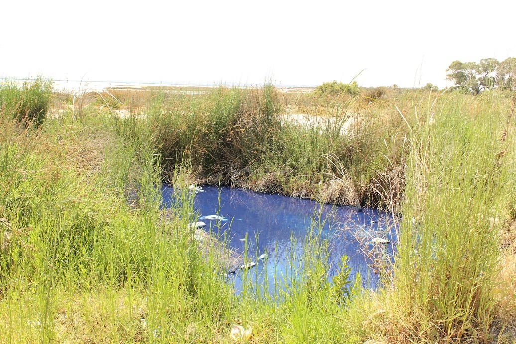 Le secteur textile au Sahel : Une politique industrielle non durable