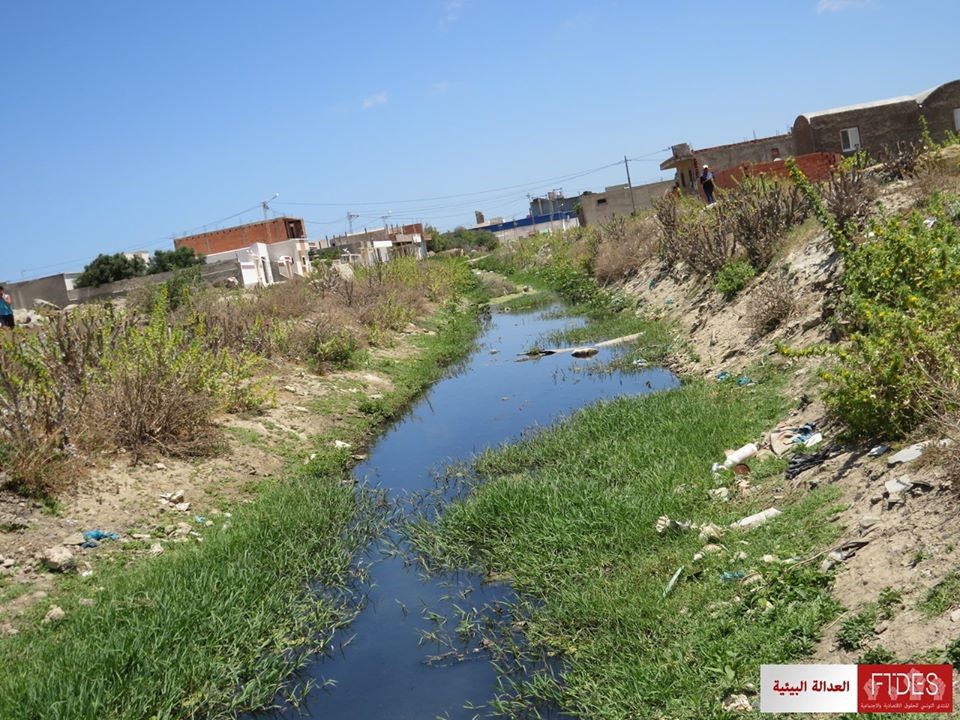 تازركة و الهوارية : حياة على ضفاف الصرف الصحي