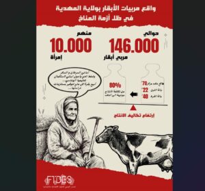 Women cow farmers in the governorate of Mahdia face climate crisis